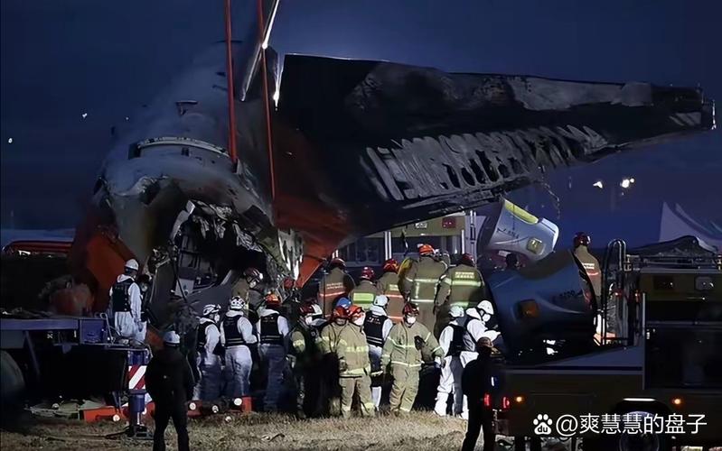 新奥天天开奖资料大全600tkm和韩国坠机致4人遇难与韩国坠机事件