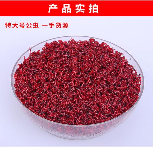 新奥最精免费大全管家婆和自来水中含活体虫与自来水中含活体虫吗