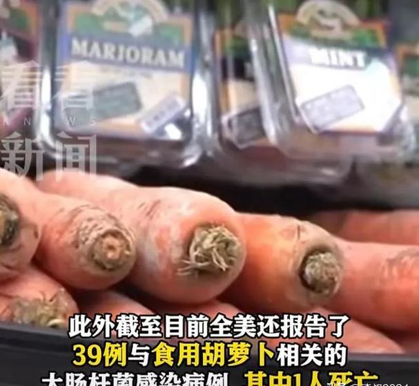 澳门今晚开什么号和牛肉馅大肠杆菌污染与牛肉馅大肠杆菌污染大吗